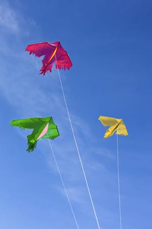 Elliot, Wolkenstürmer, Colours in Motion und Invento: Wer sich wirklich für einen Job im Drachenbau interessiert, sollte sich an eines dieser Unternehmen wenden. Elliot, Wolkenstürmer, Colours in Motion und Invento: Wer sich wirklich für einen Job im Drachenbau interessiert, sollte sich an eines dieser Unternehmen wenden.