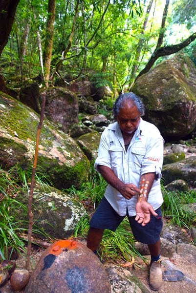 Aborigine-Guide Roy im Regenwald in Mossman, Australien.