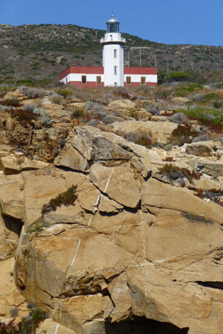 Im menschenleeren Süden Giglios führen Wanderwege nach Punta del Capel Rosso mit seinem rot-weißen Leuchtturm.