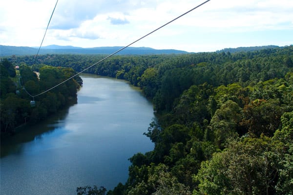 Skyrail-Gondel über dem Daintree Rainforest, Queensland / Australien.