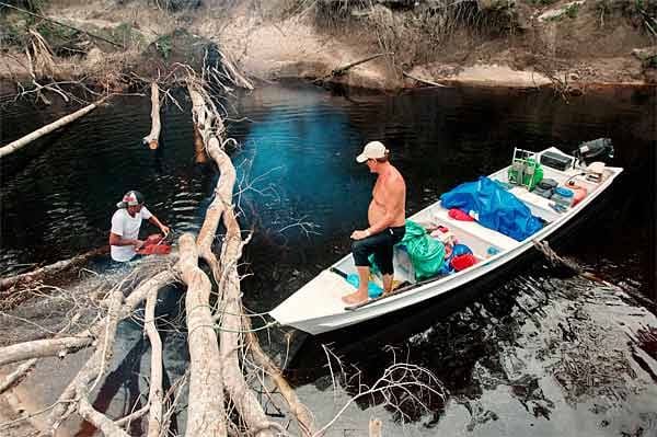 Trekking-Guide sägt einen Baum im Rio Negro, einem Nebenarm des Amazonas, durch.