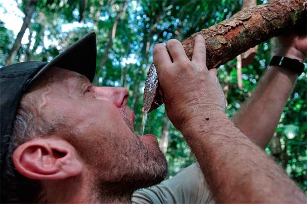 Trekking-Tour am Amazonas: Frisches Wasser aus der Liane.