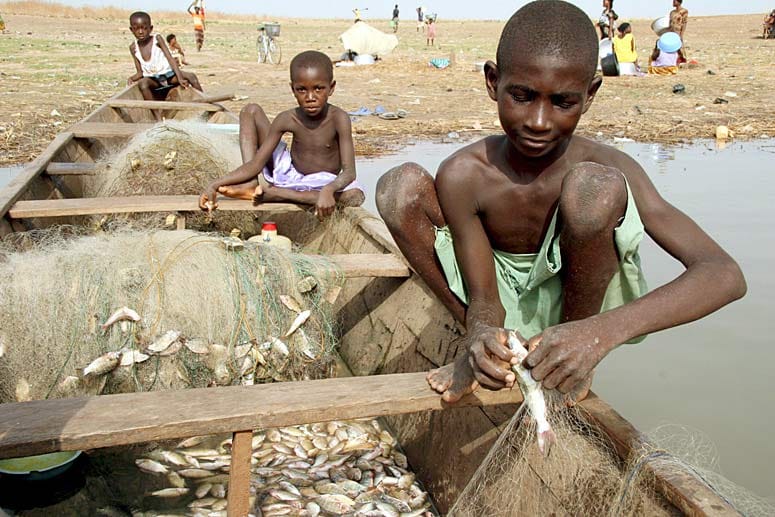 Schon in jungen Jahren müssen Kinder in Afrika arbeiten - viele ohne Bezahlung.