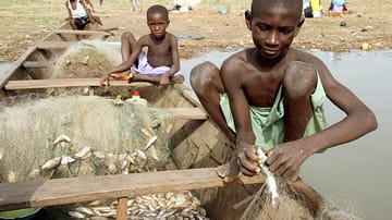 Schon in jungen Jahren müssen Kinder in Afrika arbeiten - viele ohne Bezahlung.