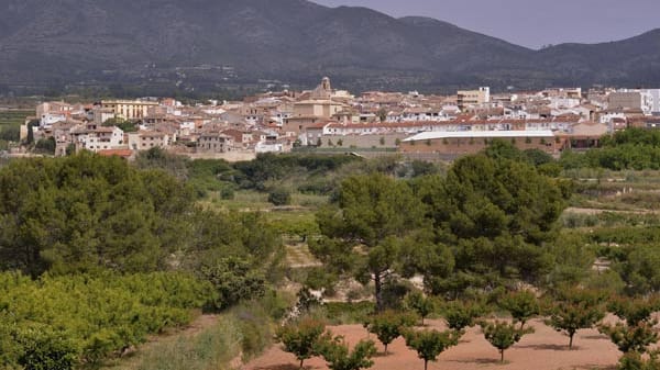 In einer kleinen Gemeinde im Süden Spaniens glaubt ein Unternehmer, seine Firma habe das bekannteste Erfrischungsgetränk der Welt erfunden. Alle im Dorf kennen die Geschichte. Jeder in Aielo de Malferit weiß bescheid. Vom kleinen Schuljungen bis zum tattrigen Greis.