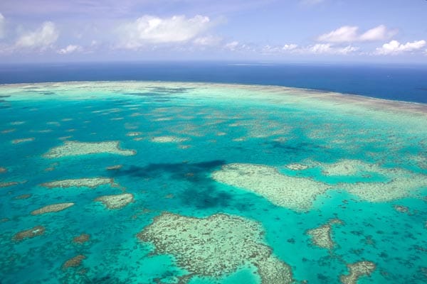 Tauchen im Great Barrier Reef, Australien: Das Great Barrier Reef vor der Nordostküste Australiens ist das größte Korallenriff der Erde und wurde 1981 von der UNESCO zum Weltnaturerbe erklärt. Mit seinen 359 Steinkorallenarten bildet es die größte von Lebewesen geschaffene Struktur auf der Erde und wird auch als eines der Sieben Weltwunder der Natur bezeichnet.
