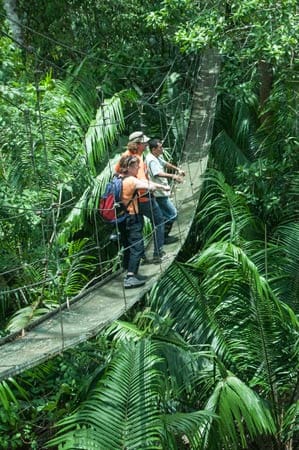 Nicaragua: Hängebrücke im Dschungel.