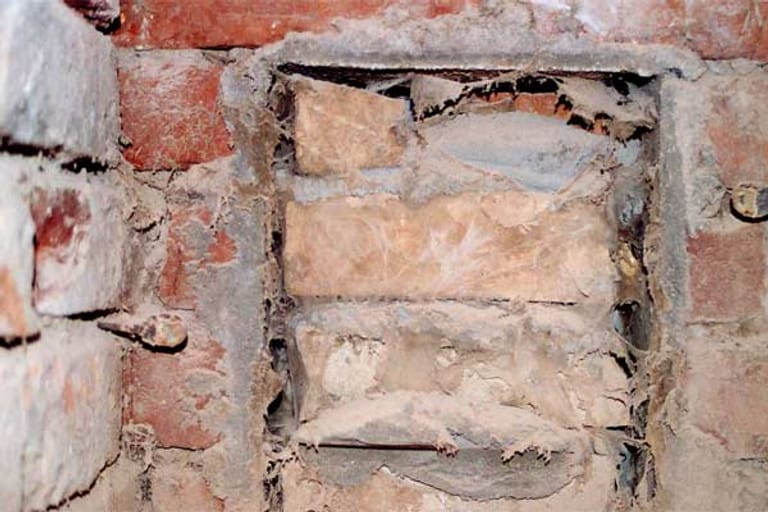 Echter Hausschwamm kann sich auch auf Mauerwerk ausbreiten.