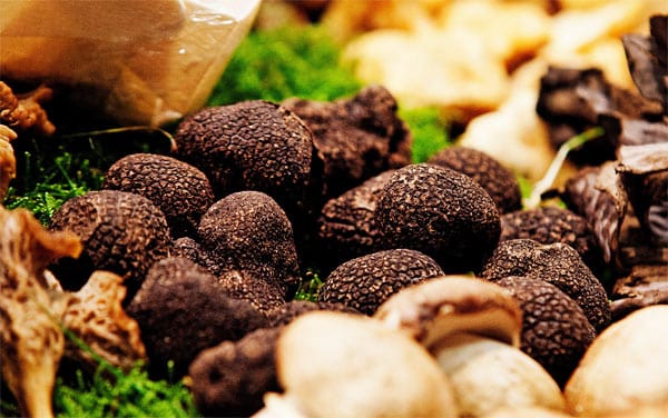 Für viele Feinschmecker sind Trüffel eine Köstlichkeit. "Schwarzes Gold" heißen sie, weil sich damit einiges Geld machen lässt.