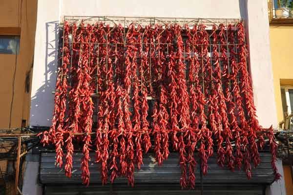 Vögel können Chilischoten übrigens ohne Probleme fressen: bei ihnen brennt nichts auf der Zunge. Die "Red Savina" ist eine spezielle Sorte der Habanero-Chilis und kommt auf rund 577.000 Scoville-Einheiten. Damit steht sie sogar im Guinness Buch der Rekorde.