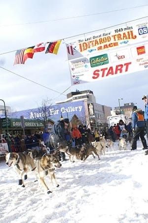 Eine eher tierische Veranstaltung ist das "Iditarod", das Rennen auf vier Pfoten. Eine eher tierische Veranstaltung ist das "Iditarod", das Rennen auf vier Pfoten. Das härteste Hundeschlittenrennen der Welt wird jedes Jahr Anfang März ausgetragen.