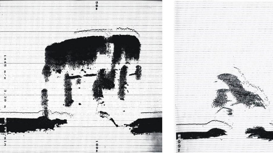 Der Flugzeugträger wurde nach Danzig geschleppt und zur Lagerung von Edelhölzern verwendet. Später kam er noch einmal zum Weiterbau zurück nach Kiel, doch auf Anordnung Hitlers folgte das Aus.