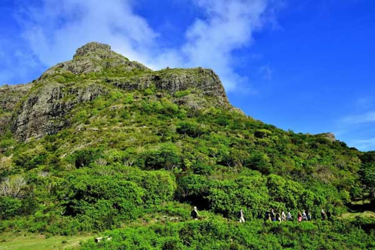 Mauritius: Wanderung auf den Morne Brabant.