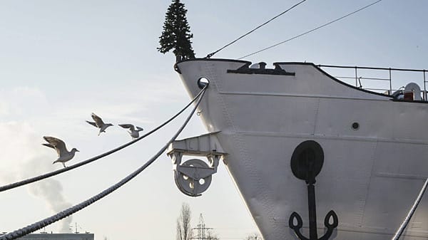 Wenn an Heiligabend nicht die passenden Geschenke unter dem Baum lagen, können Kreuzfahrtreisende an den darauffolgenden Tagen Wunschzettel an Weihnachtsbäumen befestigen. Diese Wunschbäume werden dann in einer feierlichen Zeremonie über Bord geworfen und dem Meeresgott Neptun übergeben, der sich um die Erfüllung der Wünsche kümmern soll.