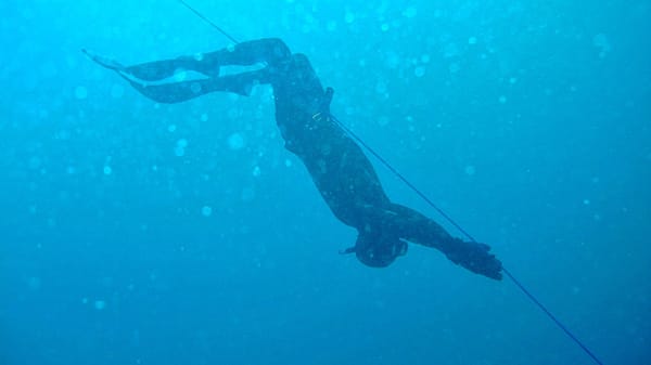 Roberto Reyes beim Freitauchen in 20 Metern Tiefe.