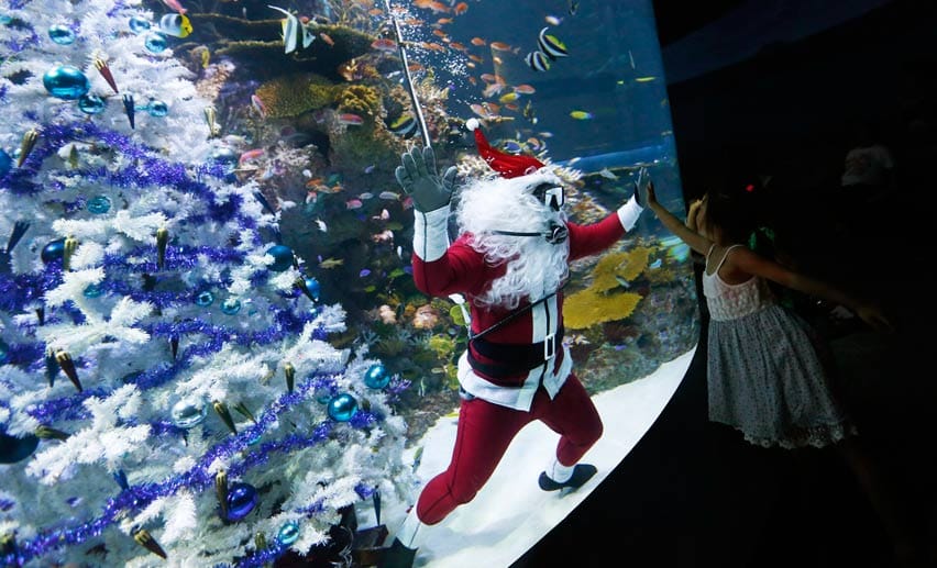 Weihnachten in Singapur