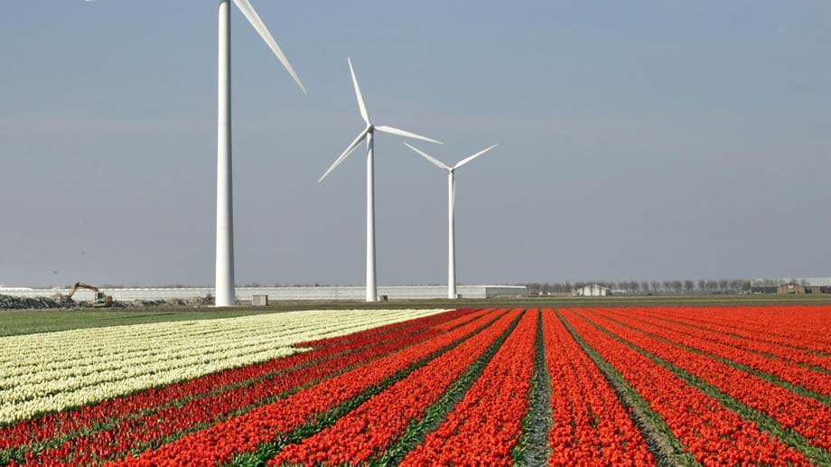 Tulpenblüte: April und Mai, am eindrucksvollsten Ende April in Holland.