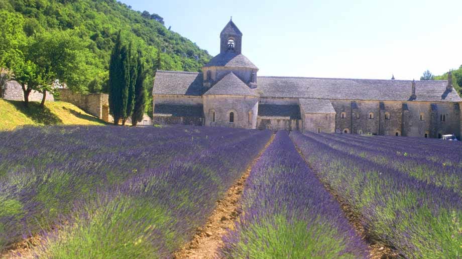 Lavendelblüte: Juni bis Anfang Juli, am schönsten auf den Feldern in Südfrankreich