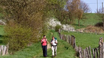 Qualitätswanderweg Wanderbares Deutschland: Bergischer Weg.