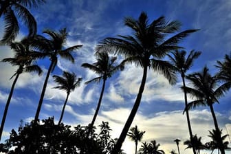 Warme Temperaturen, weiße Sandstrände und unzählige Palmen machen die Bahamas zum perfekten Ort für eine Flucht aus dem nasskalten Winterwetter daheim.