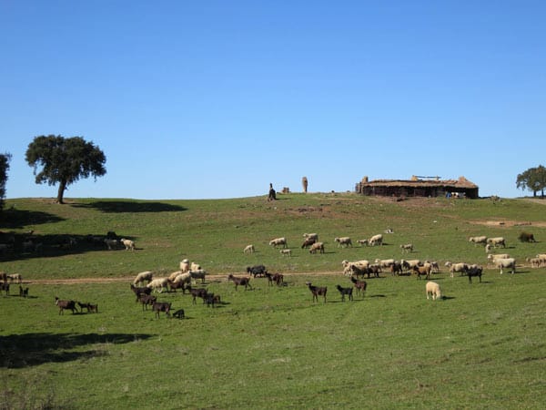 Portugal: Bauernhof im Alentejo.