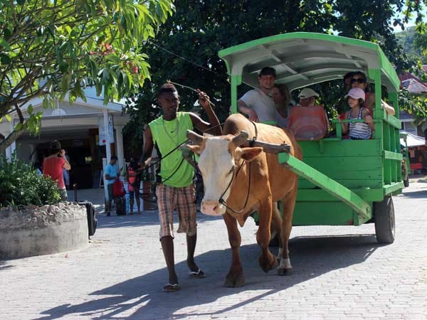 Wie passend also, dass der Ochsenkarren das beliebteste Verkehrsmittel der Insel ist.