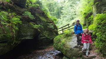 Wandern auf dem Mullerthal Trail in der Luxemburgischen Schweiz.
