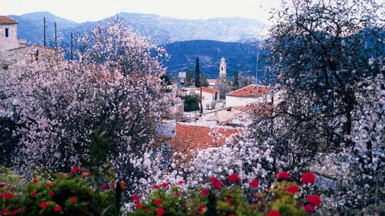 Zypern: Dorf Lofou während der Mandelblüte.