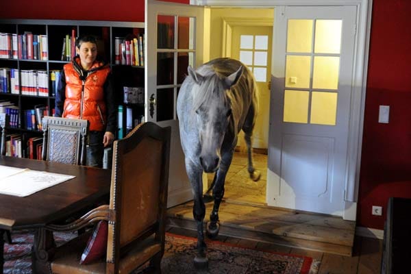 Wohnen mit einem Pferd im Haus: Nasar betritt das Wohnzimmer