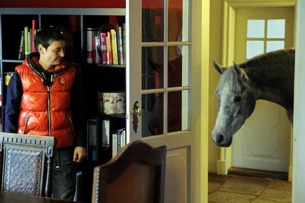 Wohnen mit einem Pferd im Haus: Nasar wird eingelassen