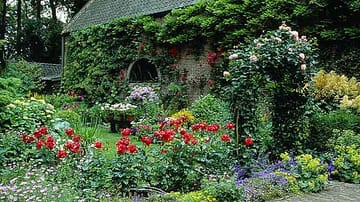 Cottage-Gärten werden immer beliebter.
