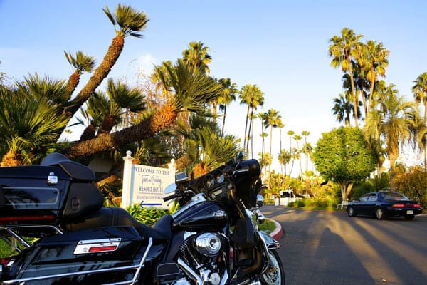 Berühmt für seine unzähligen Risenpalmen ist das Wown Country Resort in San Diego.