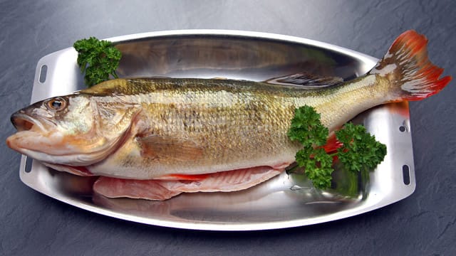 Fisch gilt als Symbol christlichen Glaubens