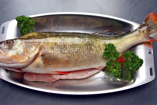 Fisch gilt als Symbol christlichen Glaubens