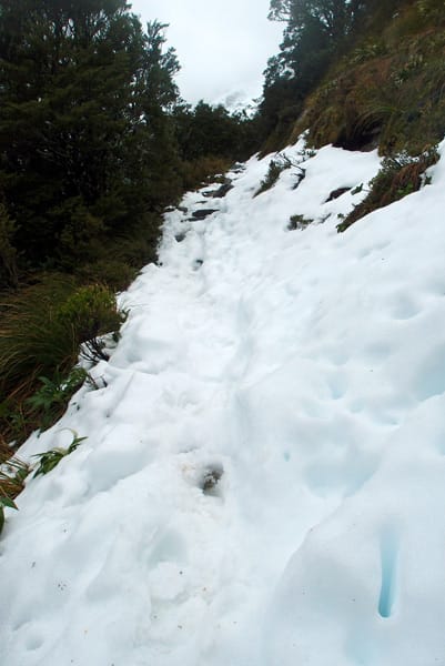 Milford Track, Neuseeland: Schnee auf dem Weg zum Mackinnon Pass.