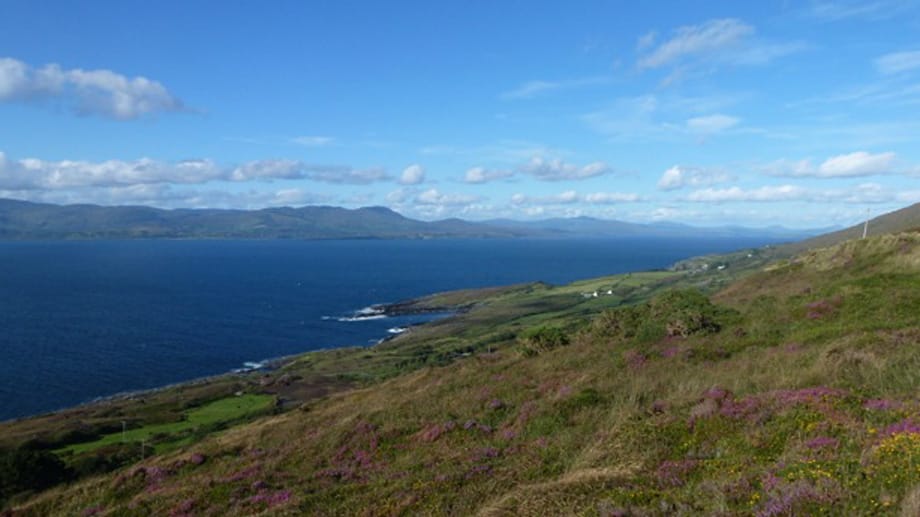 Sheeps Head: Die Halbinsel im Südwesten Irlands ist ein Traum zum Wandern.