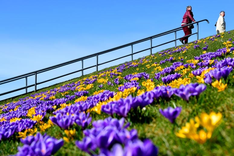 Frühlingswetter in Deutschland Frühlingswetter in Deutschland