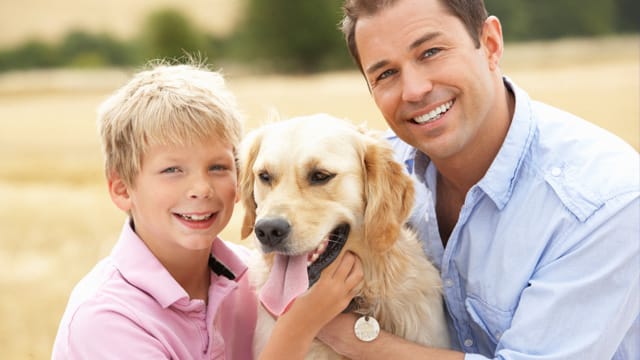 Ein Golden Retriever ist immer für das Herumtoben im Freien zu haben