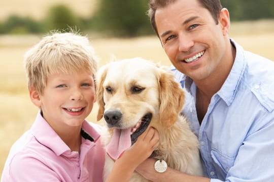 Ein Golden Retriever ist immer für das Herumtoben im Freien zu haben