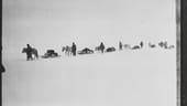 Fotos von R. F. Scotts legendärer Südpol-Expedition 1911/12: Ponys ziehen die Schlitten mit der Ausrüstung