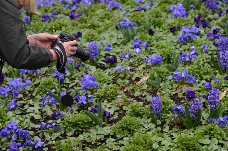 Das Grün auf dem Spielfeld ist für die Fans tabu, das ist bekannt. Aber in manchen Stadien, etwa in Augsburg und München, verbietet die Hausordnung zusätzlich das Betreten von Sträucheranpflanzungen und Blumenbeeten. Das Grün auf dem Spielfeld ist für die Fans tabu, das ist bekannt. Aber in manchen Stadien, etwa in Augsburg und München, verbietet die Hausordnung zusätzlich das Betreten von Sträucheranpflanzungen und Blumenbeeten.