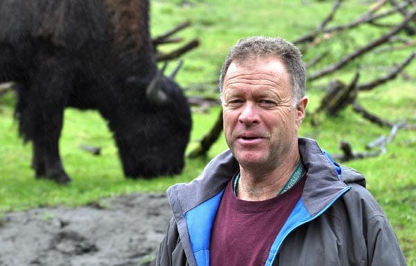 Seine 130 Tiere lässt Mike kaum aus den Augen. Im April 2015 werden die ersten Bisons ausgewildert.