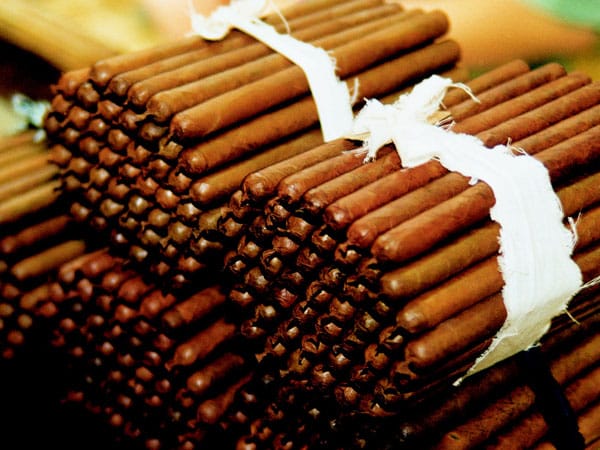 Frisch gerollte Zigarren in einer Tabacalera auf Cuba. Man nennt diese Bündelungsform Medias Ruedas (Halbräder). Sie bestehen aus je 50 Zigarren und werden, bevor sie verpackt werden mit Stofffetzen zusammengebunden und zwischengelagert. Für Kenner deutlich sichtbar: Es handelt sich um das Format Lanceros mit dem zusammengedrehten Tabakschwänzchen an der Perilla (dem Zigarrenkopf oder Mundende).