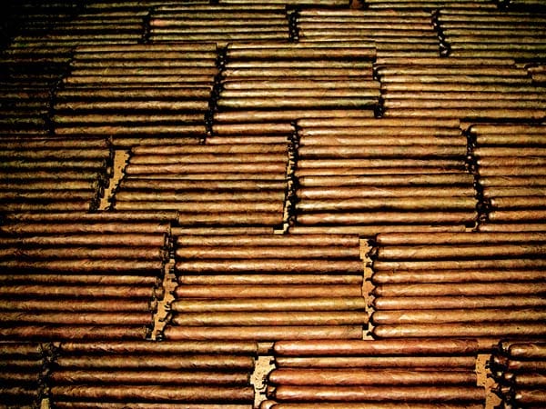 Die fertig gerollten Zigarren einer Sorte werden auf den großen Sortiertischen ausgebreitet und nach Farbschattierungen geordnet. Über 60 verschiedene Brauntöne können die geübten Sortierer (Escogedores) unterscheiden. Die Grundfarben werden in Claro=Ocker, Colorado Claro=hellbraun, Colorado=rötliches Braun, Colorado Maduro=dunkles Braun und Maduro=dunkelbraun bis schwarz (Oscuro) klassifiziert.