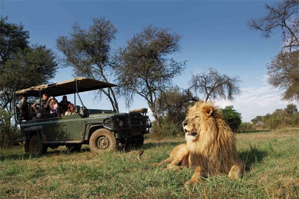 Ist die Löwenspur alt oder frisch? Nach dem einwöchigen Schnupperkurs "EcoQuest" im Krüger Nationalpark in Südafrika erkennen die Teilnehmer das auf den ersten Blick.