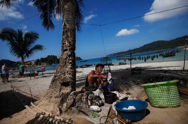 Myanmar: Am Strand von Ma Kyone Galet auf der Insel Bocho häutet ein Mann Kugelfische.