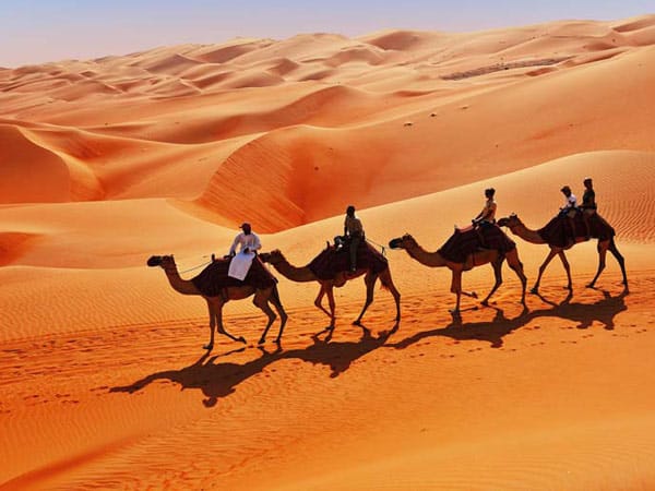Eine Kameltour in die Wüste offenbart eine faszinierende Welt aus Sand und Wind.