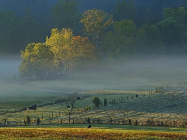 Subtropisches Klima, in dem Mais gut reift, reines Wasser und Eichen für Fässer im Überfluss - das ist Kentucky, das Kernland der US-Whiskeys.