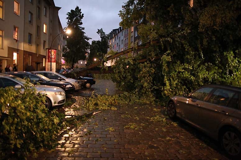 Bereits am Montagabend hatten Unwetter in NRW gewütet. In der Lindenstraße in Düsseldorf stürzten am 9. Juni Bäume um, zahlreiche Autos wurden beschädigt.