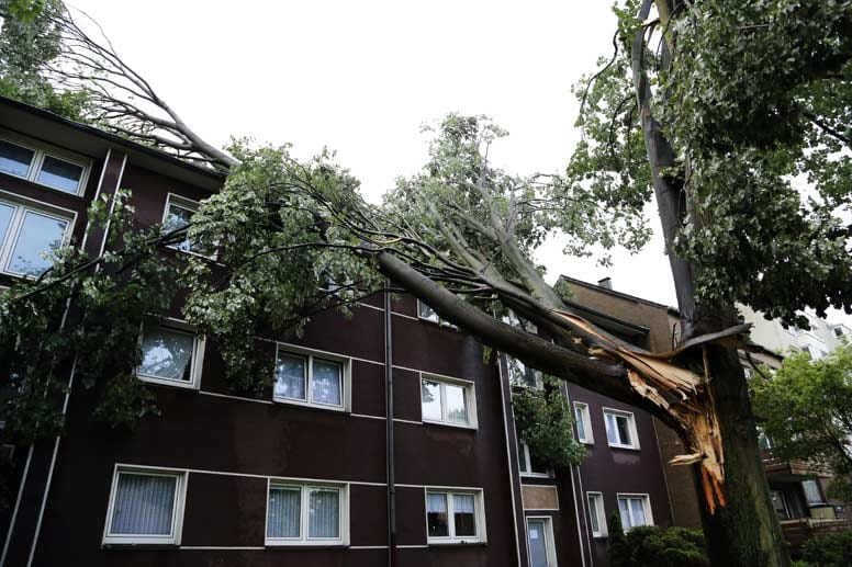 In Recklinghausen stürzt ein halber Baum auf ein Mehrfamilienhaus - verletzt wurde hier glücklicherweise niemand.